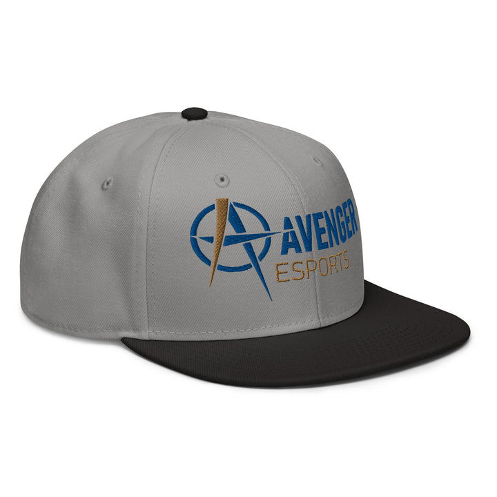 Alliance Academy - Snapback Hat