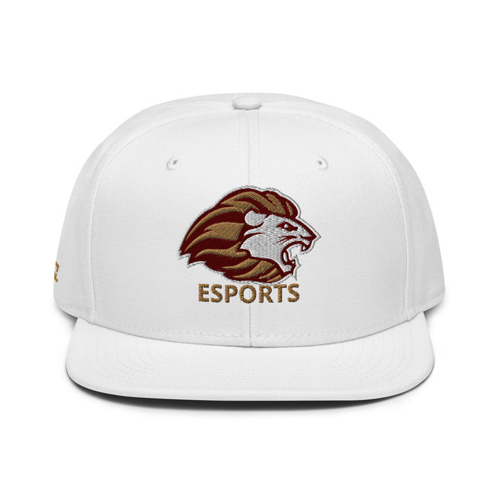 HCA - Snapback Hat