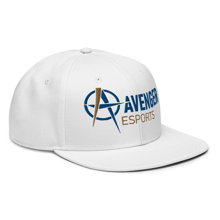 Alliance Academy - Snapback Hat