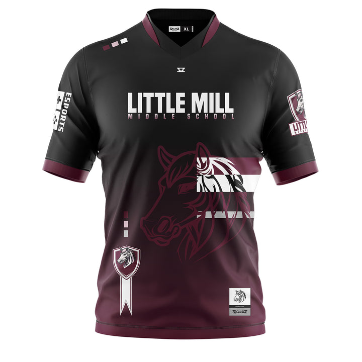 FoCo Esports - Little Mills Middle School