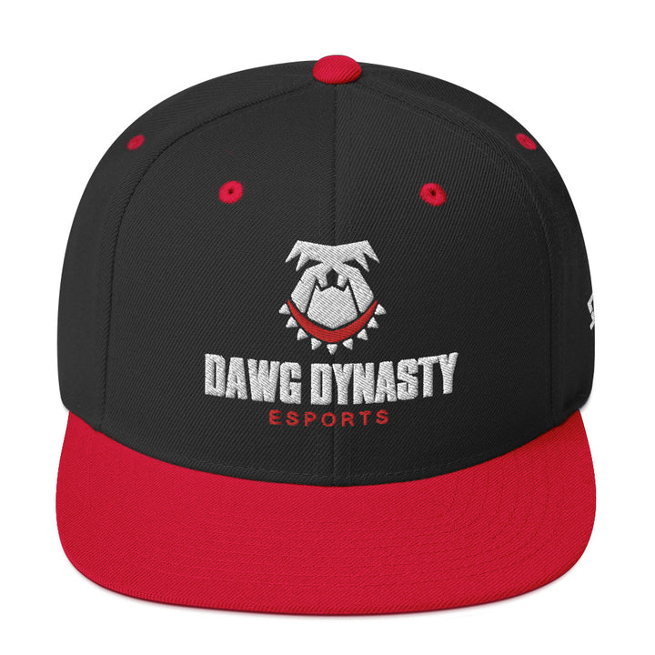 Forsyth Central High School - Snapback Hat