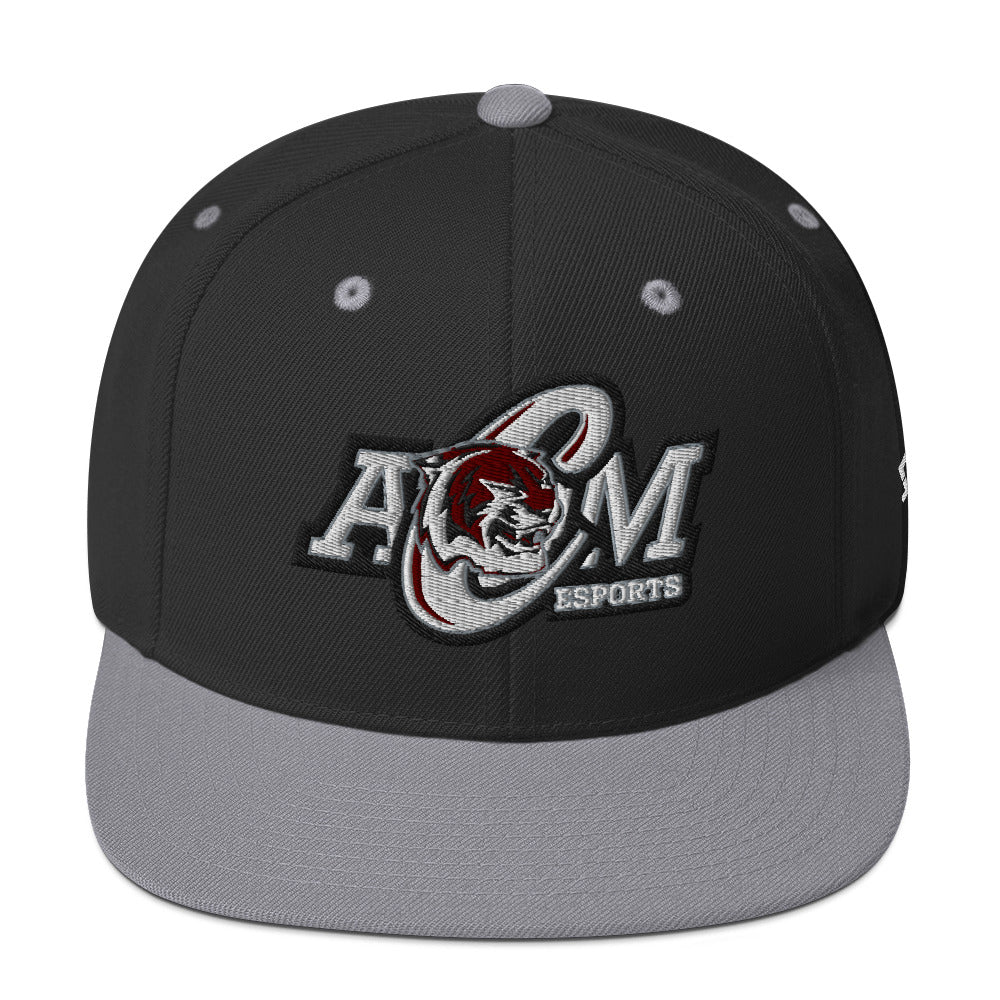 AMCHS - Snapback Hat