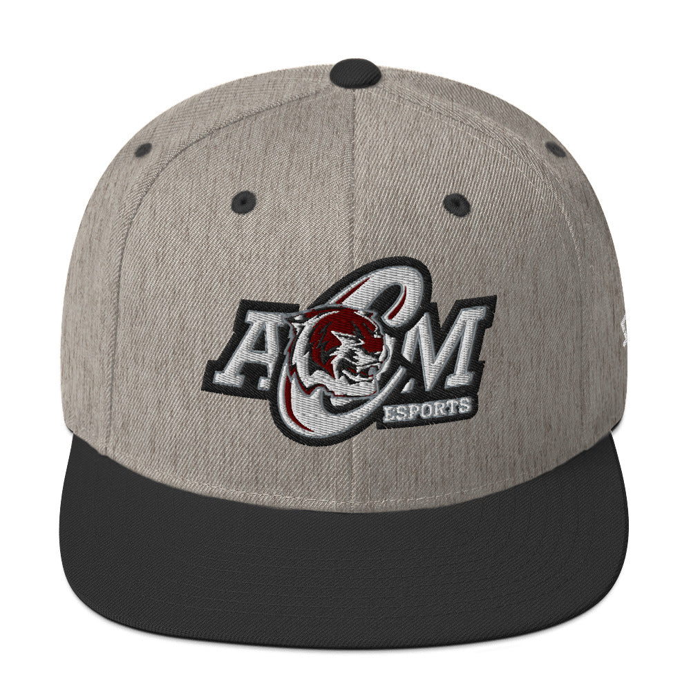 AMCHS - Snapback Hat