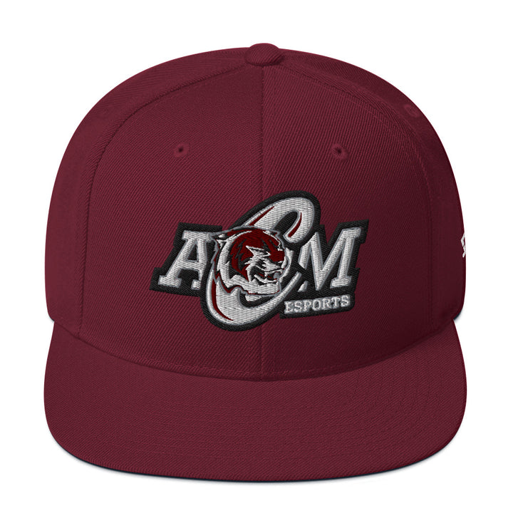 AMCHS - Snapback Hat