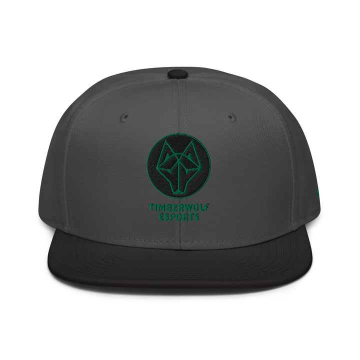 BVSW - Snapback Hat