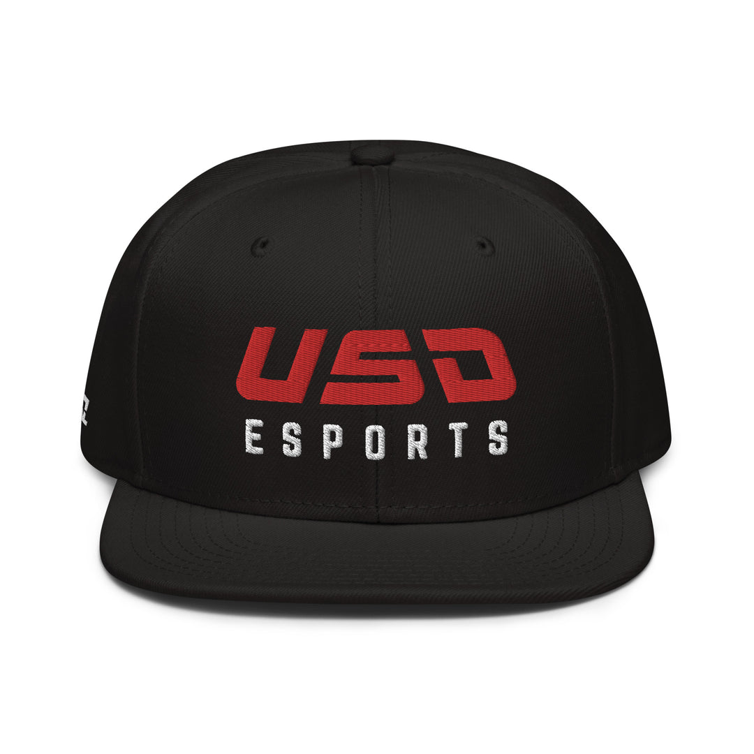 USD - Snapback Hat