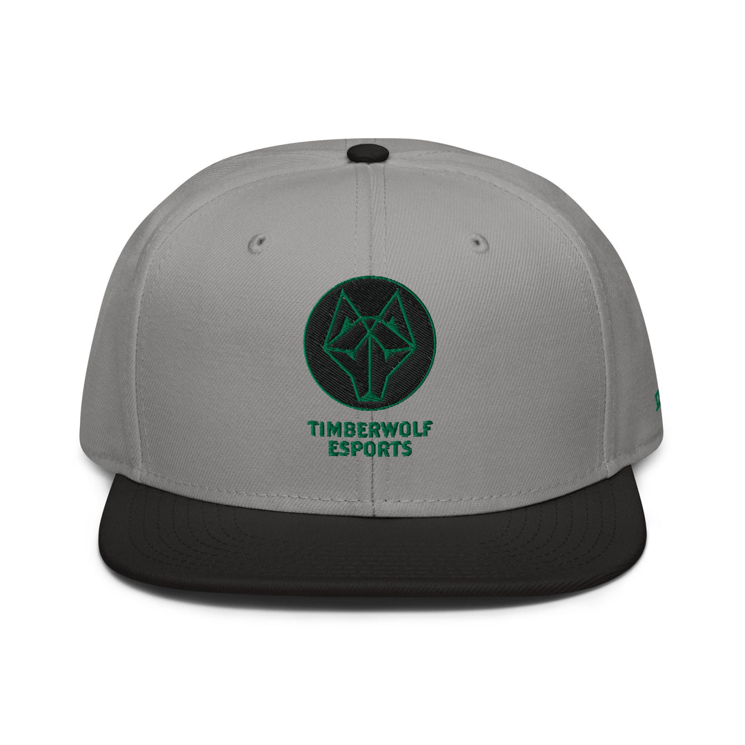 BVSW - Snapback Hat