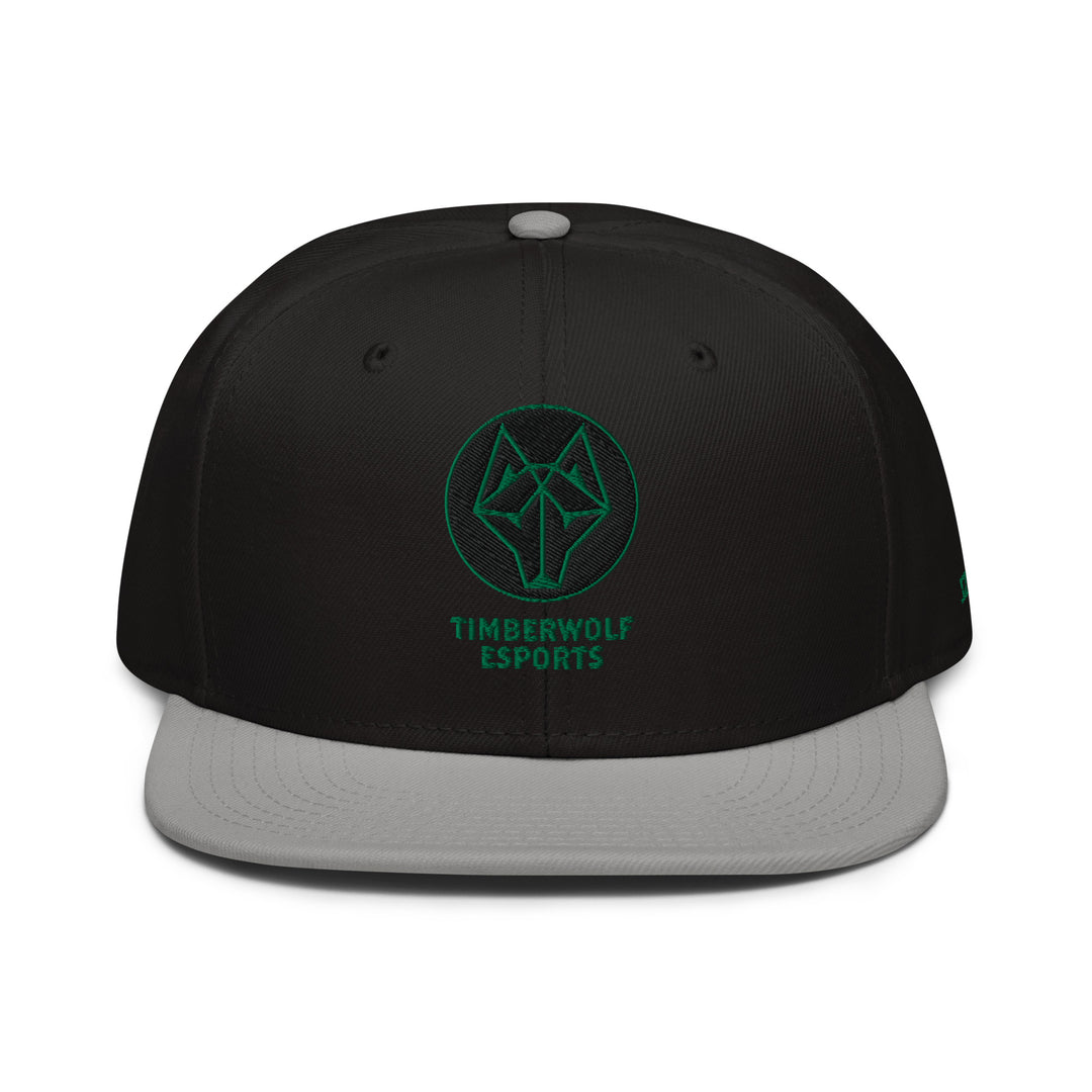 BVSW - Snapback Hat