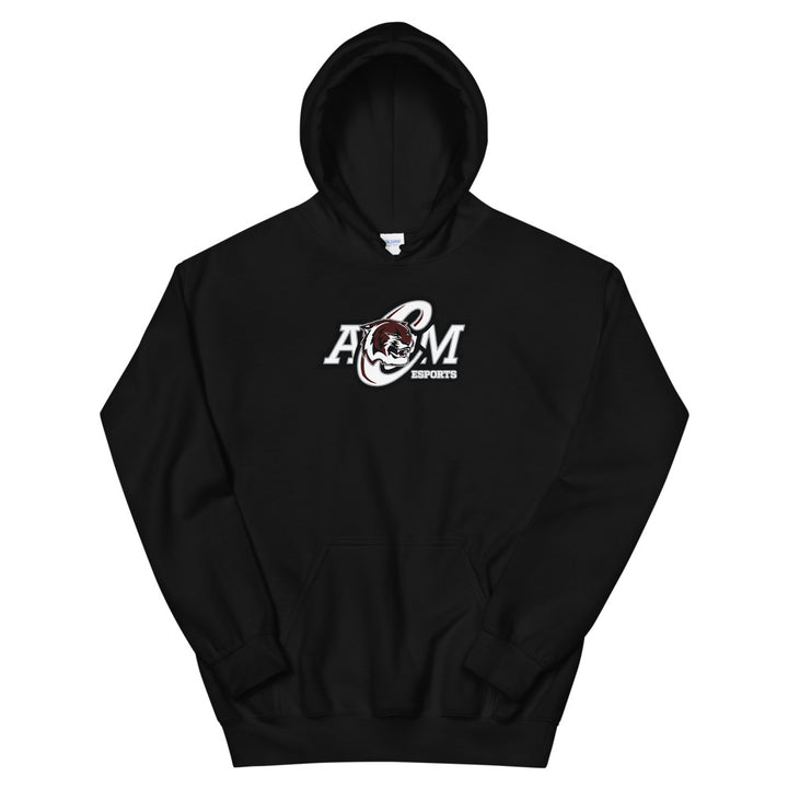 AMCHS - Skullz Soft Hoodie