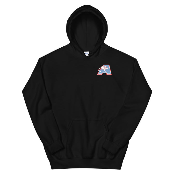 Anthony ISD - Skullz Soft Hoodie