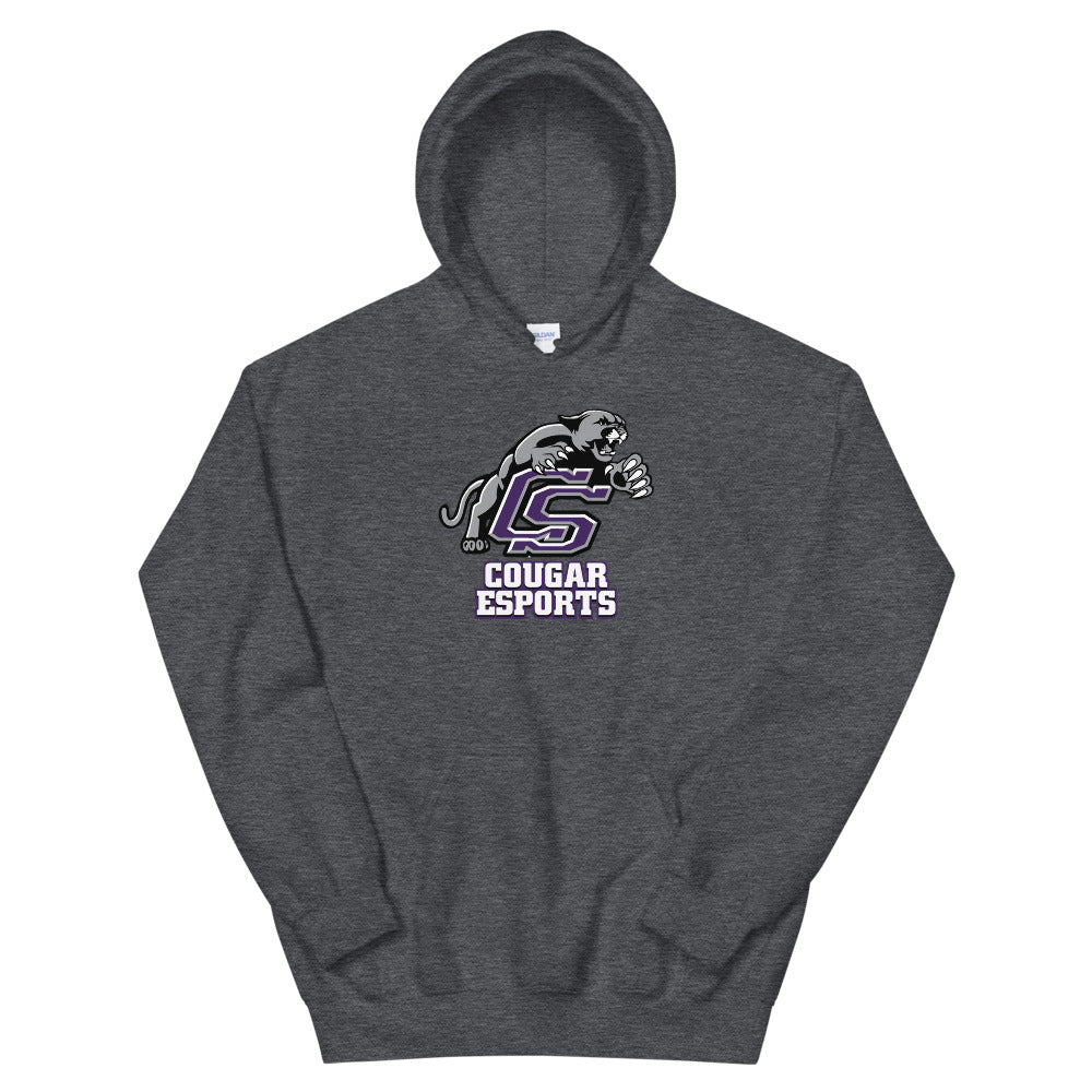 CSHS - Skullz Soft Hoodie