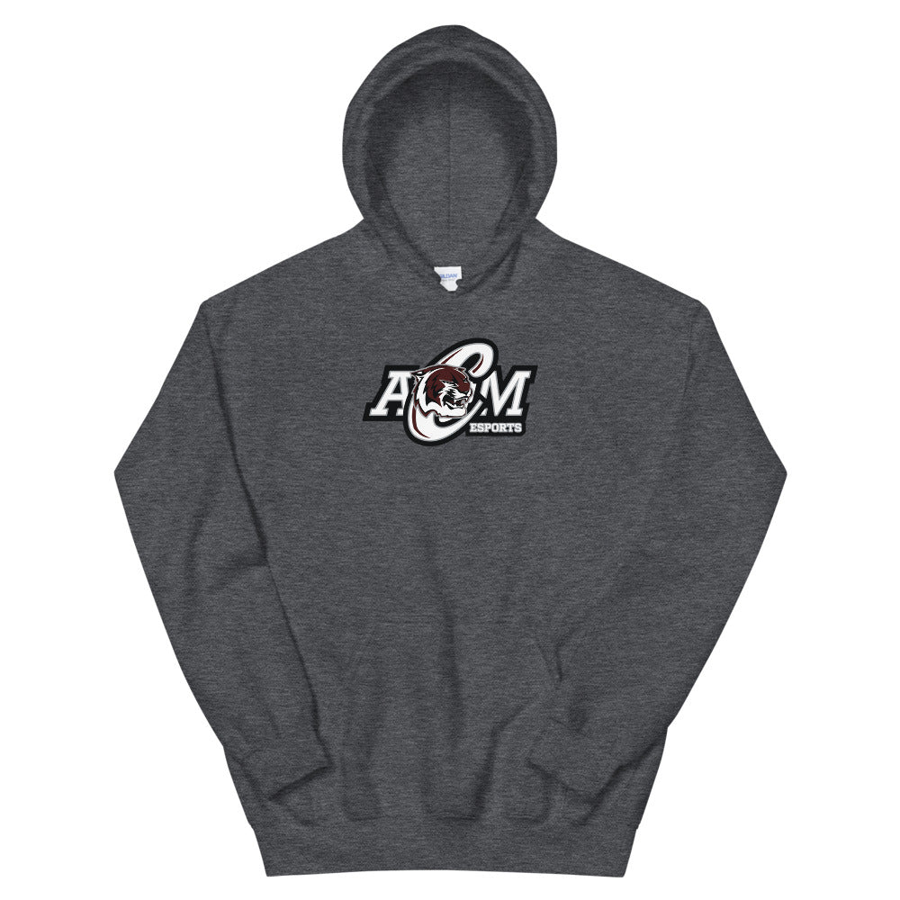 AMCHS - Skullz Soft Hoodie