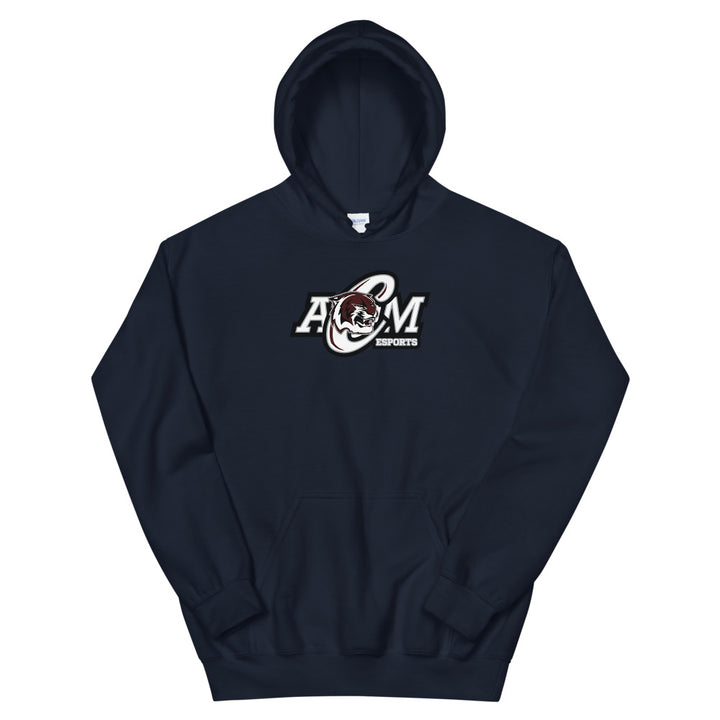 AMCHS - Skullz Soft Hoodie