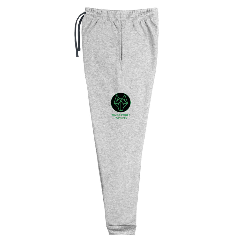 BVSW - Lightweight Joggers